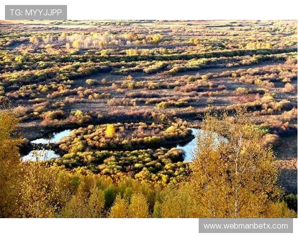 万博娱乐网址注册指南，详细步骤帮助新手快速完成账号注册