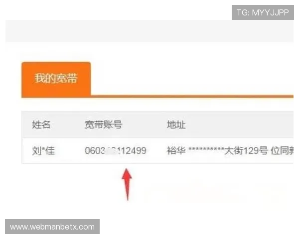 万博app官方网站账号密码找回方法，安全快捷确保您的账户永不丢失